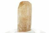 Gemmy Imperial Topaz Crystal - Zambia #231323-1